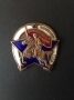  Знак "Ворошиловский всадник", оригинал